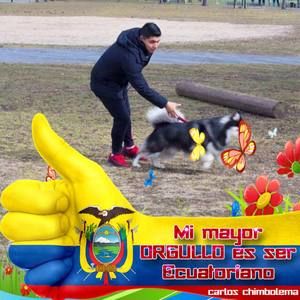 Meet your Posher, Paul